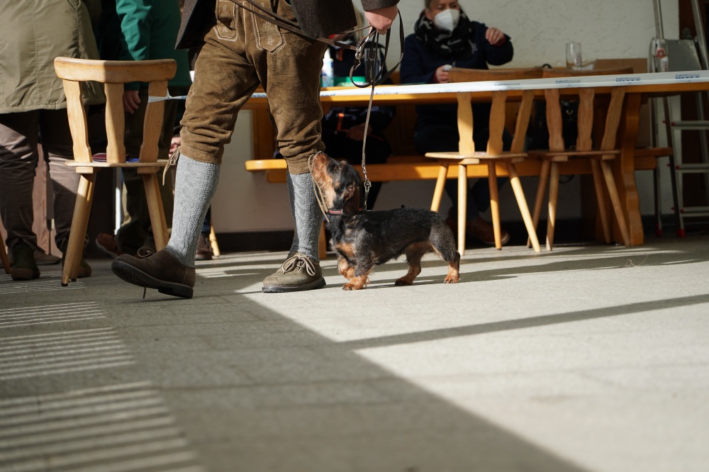 s_A9_09351.jpg